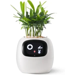 Grow Buddy: Smart Planter Robot